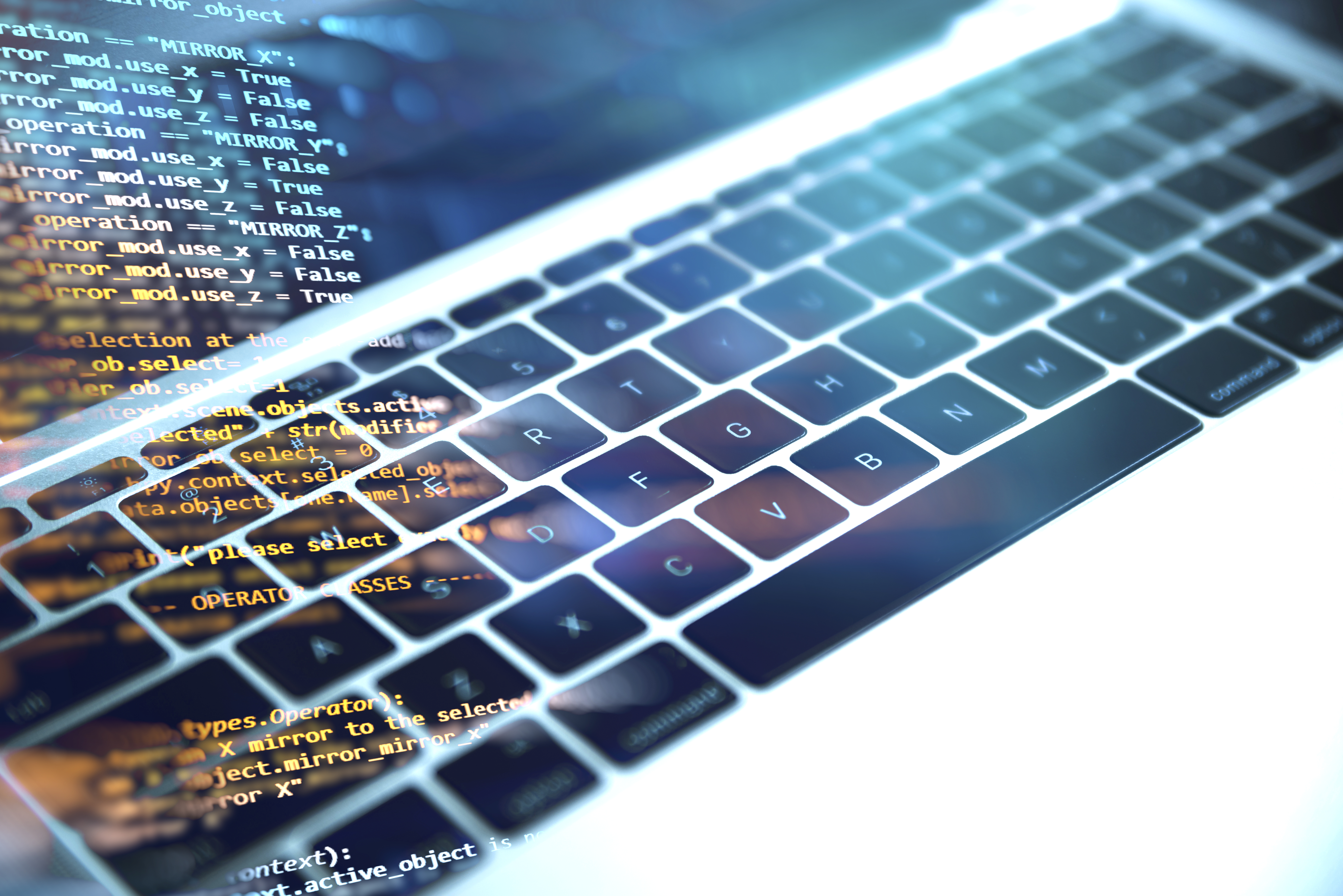 Web Development